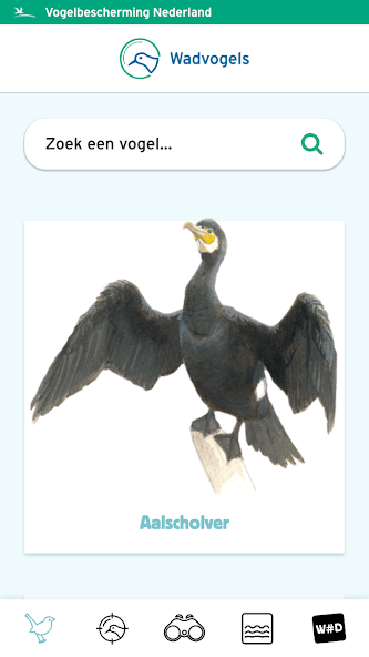 Wadvogels