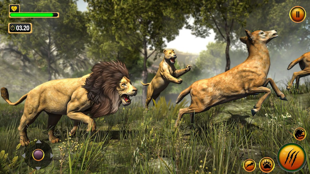 Lion King Game:Wild Adventure