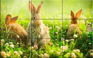 Puzzle - Cute bunnies