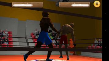 Kickboxing Ring 3D