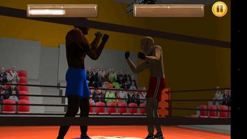 Kickboxing Ring 3D