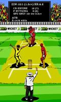 Hit Wicket Cricket