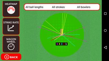 Smash and Slog Cricket