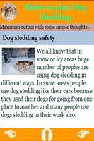 Rules to play Dog Sledding