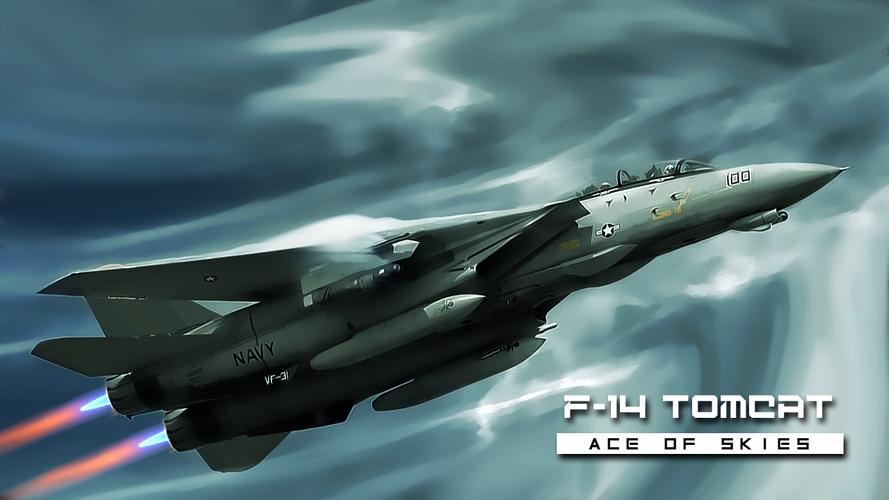 F-14 Tomcat : Ace Jet of Skies