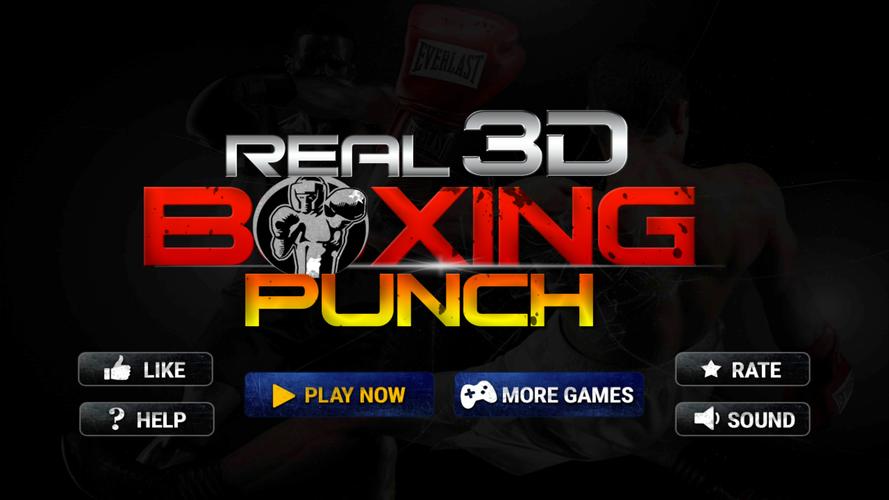 Real 3D Boxing Punch