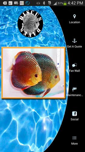 Discus Dave's