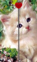 Kitten Zipper Screen Lock