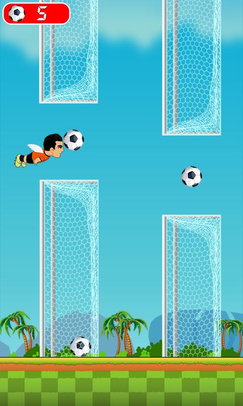 Flappy Robin