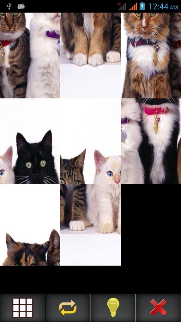 Pets Photo Puzzle