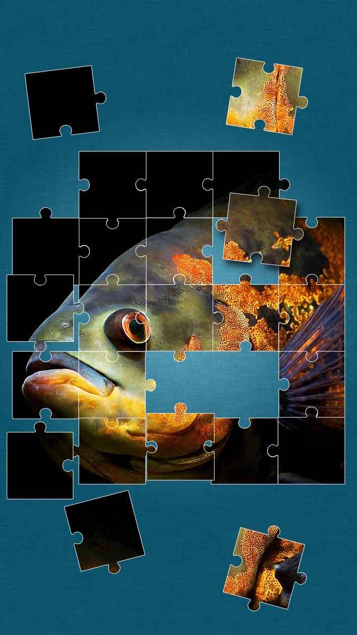 Sea Life Jigsaw Puzzles