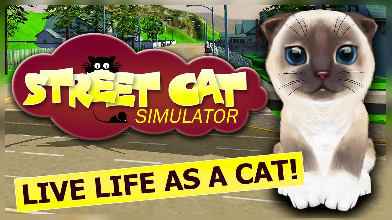 Street Cat Survival Simulator