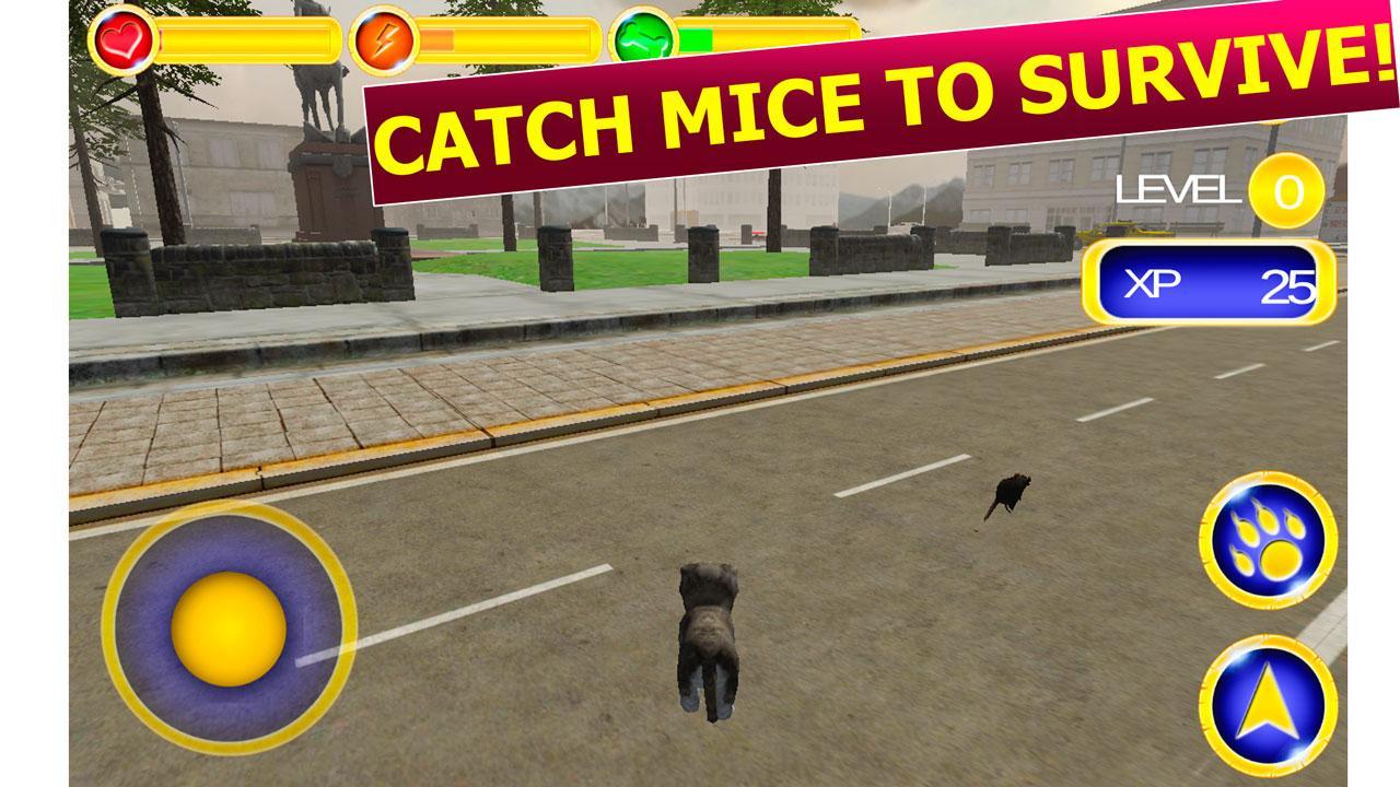 Street Cat Survival Simulator