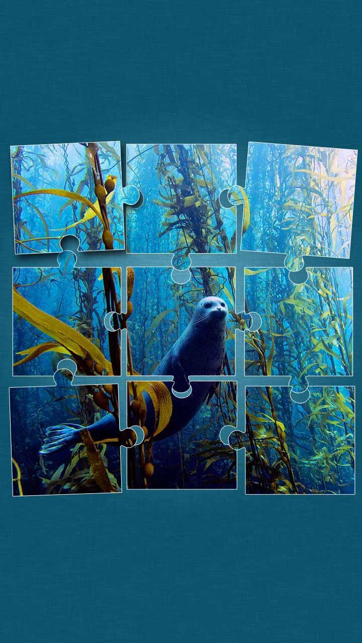 Sea Life Jigsaw Puzzles