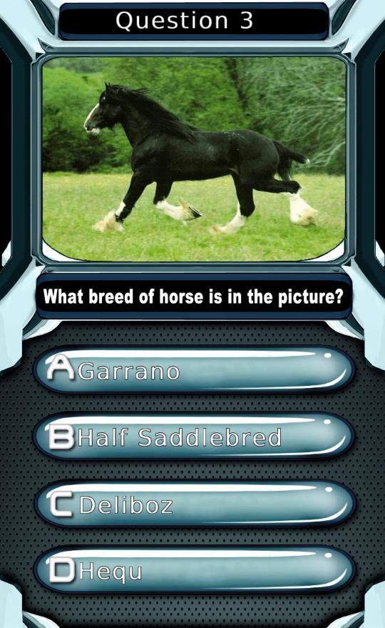 My Horse & Pony Breeds Quiz HD