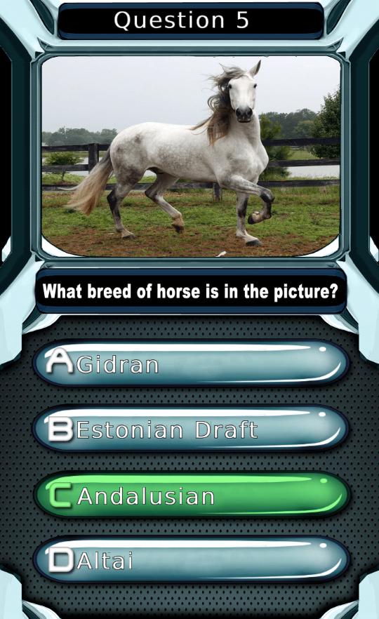 My Horse & Pony Breeds Quiz HD