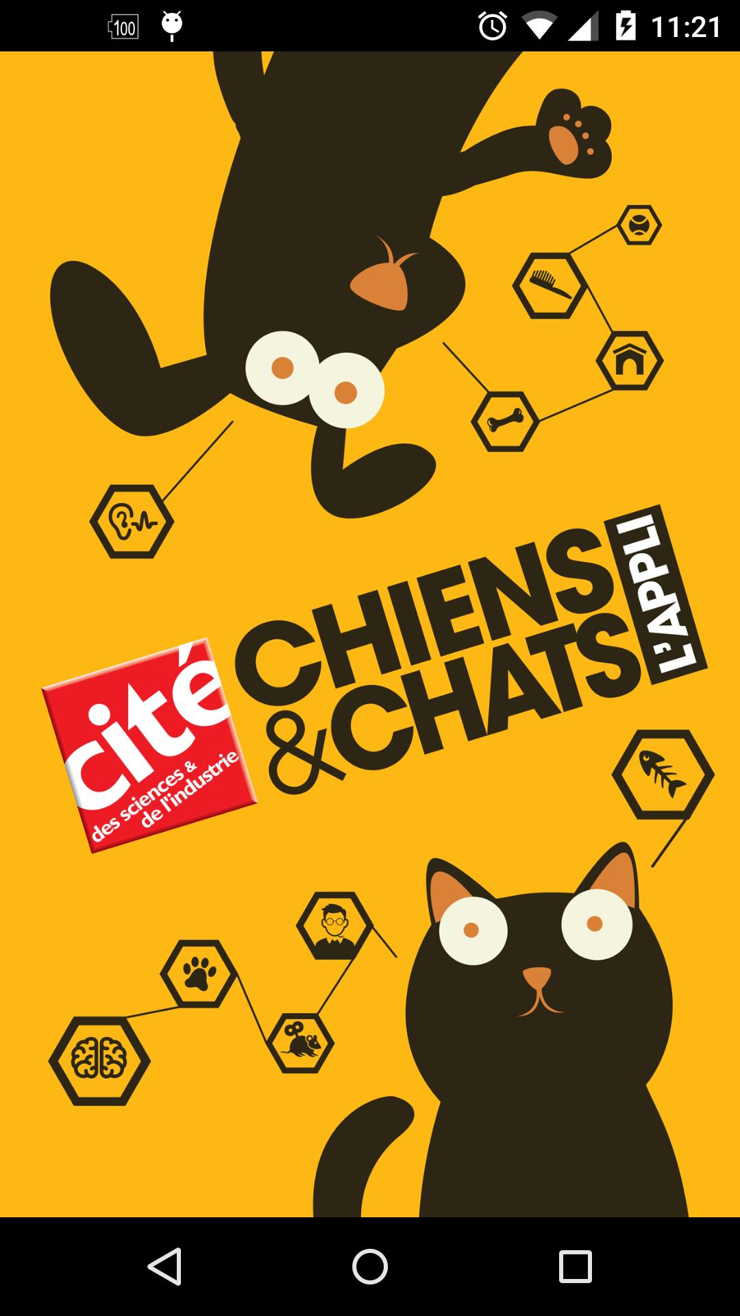 Chiens & Chats