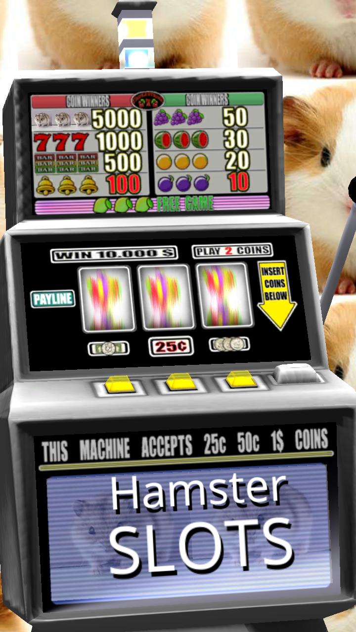 3D Hamster Slots - Free