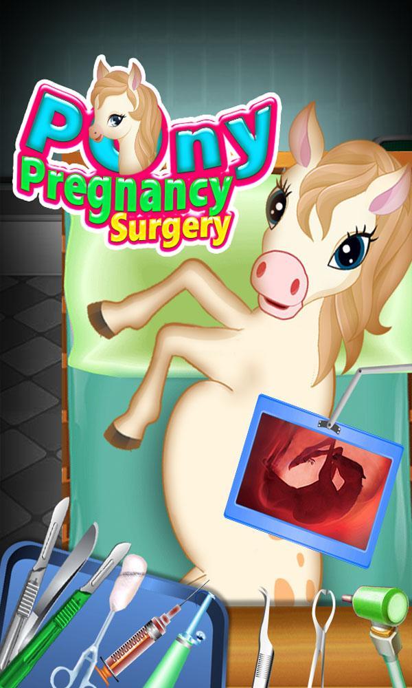 Pony Pregnancy Maternity