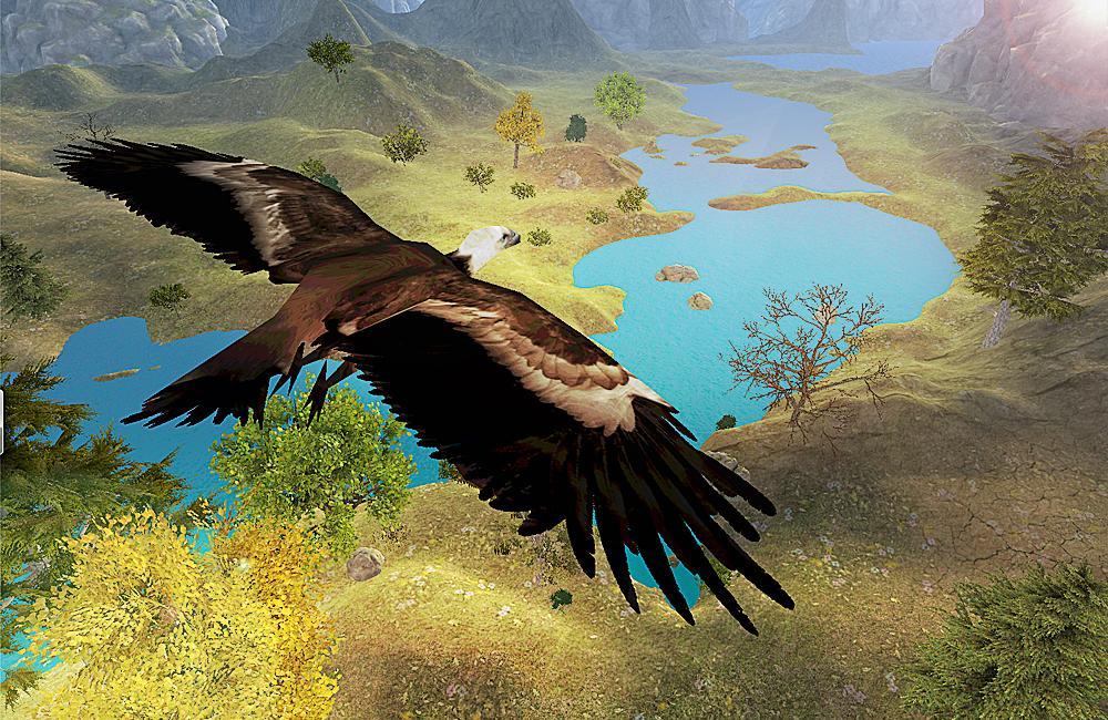 Vulture Attack Simulator