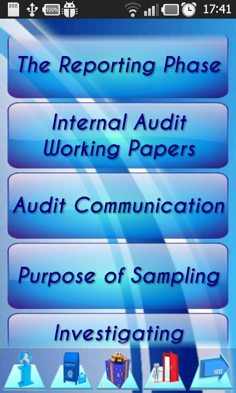 Internal Audit P&P Manual Demo