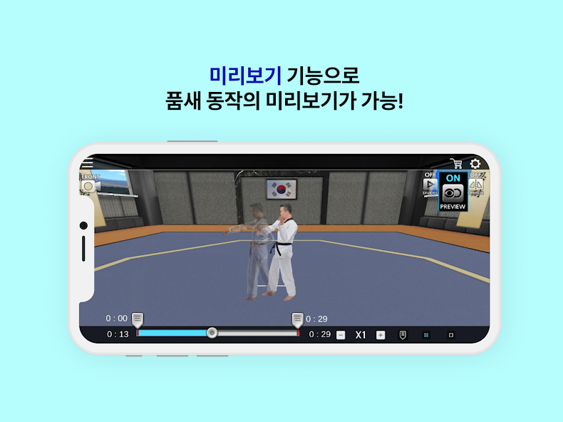 Taekwondo Poomsae Master