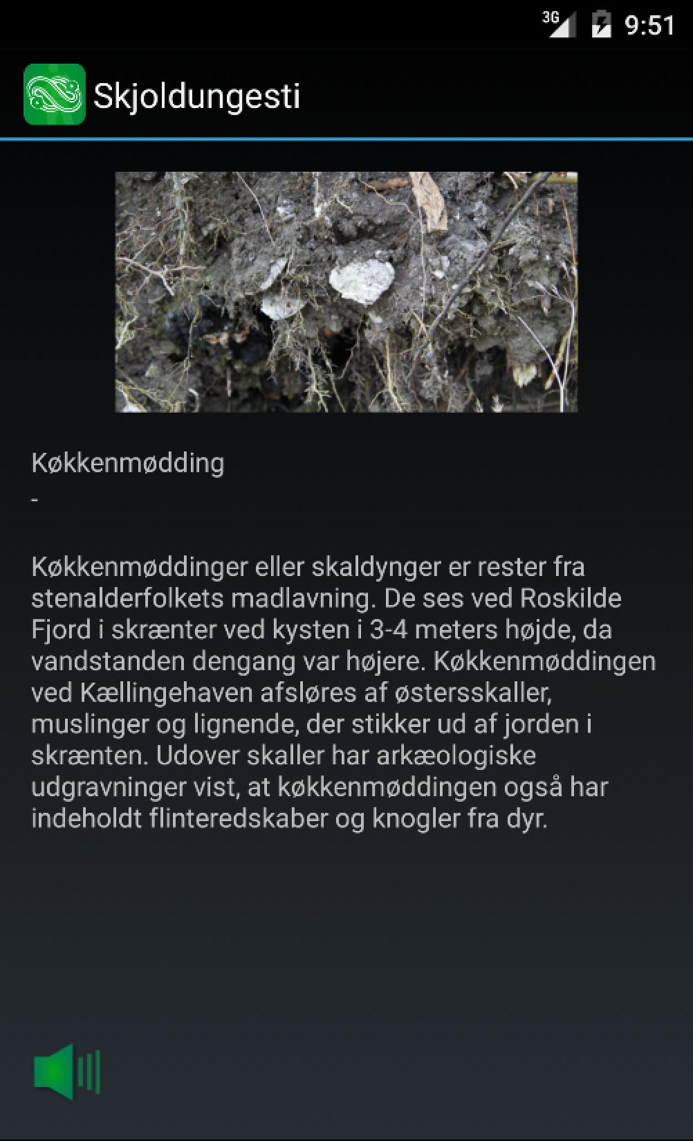 Skjoldungesti