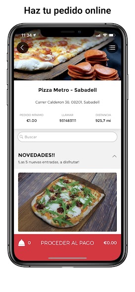 Pizza Metro Company