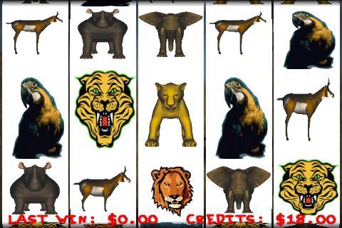 Slots of Animals