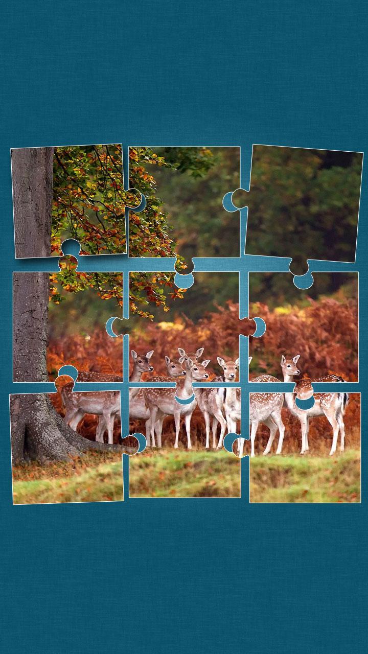 Wildlife Jigsaw Puzzle