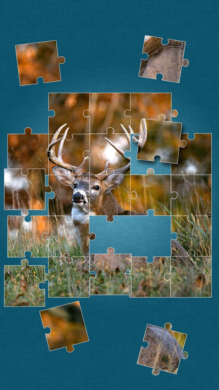 Wildlife Jigsaw Puzzle