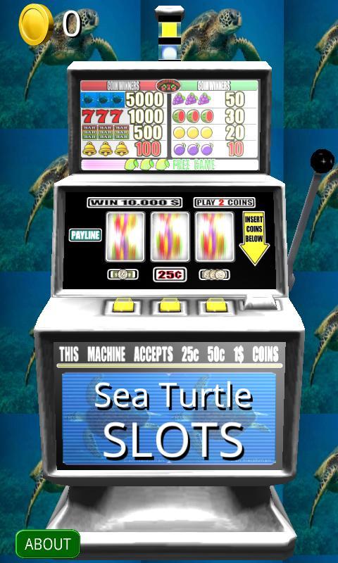 3D Sea Turtle Slots - Free