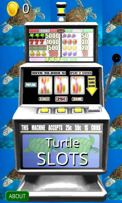 3D Turtle Slots - Free