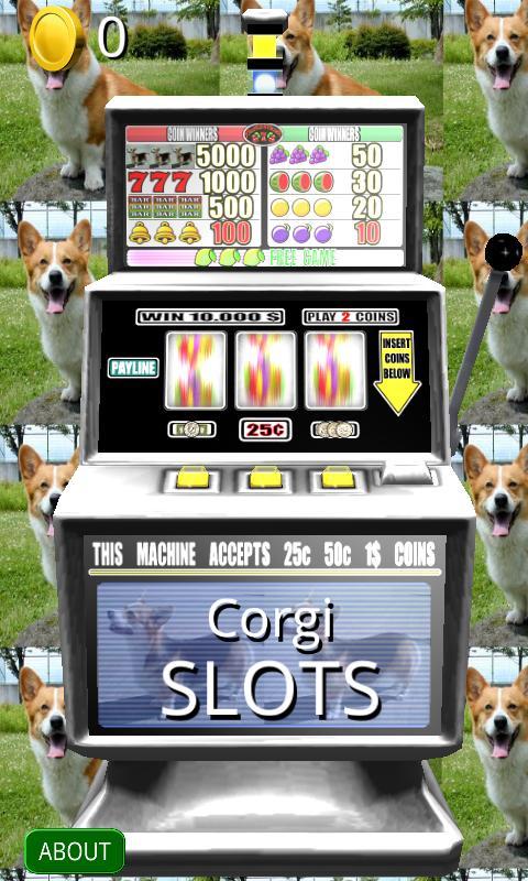 3D Corgi Slots - Free