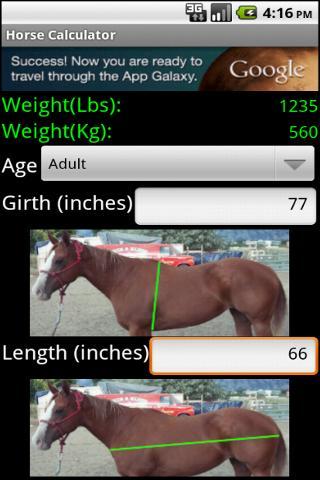 Horse Weight/Height Calculator