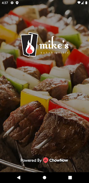 Mike's Kabob Grille 