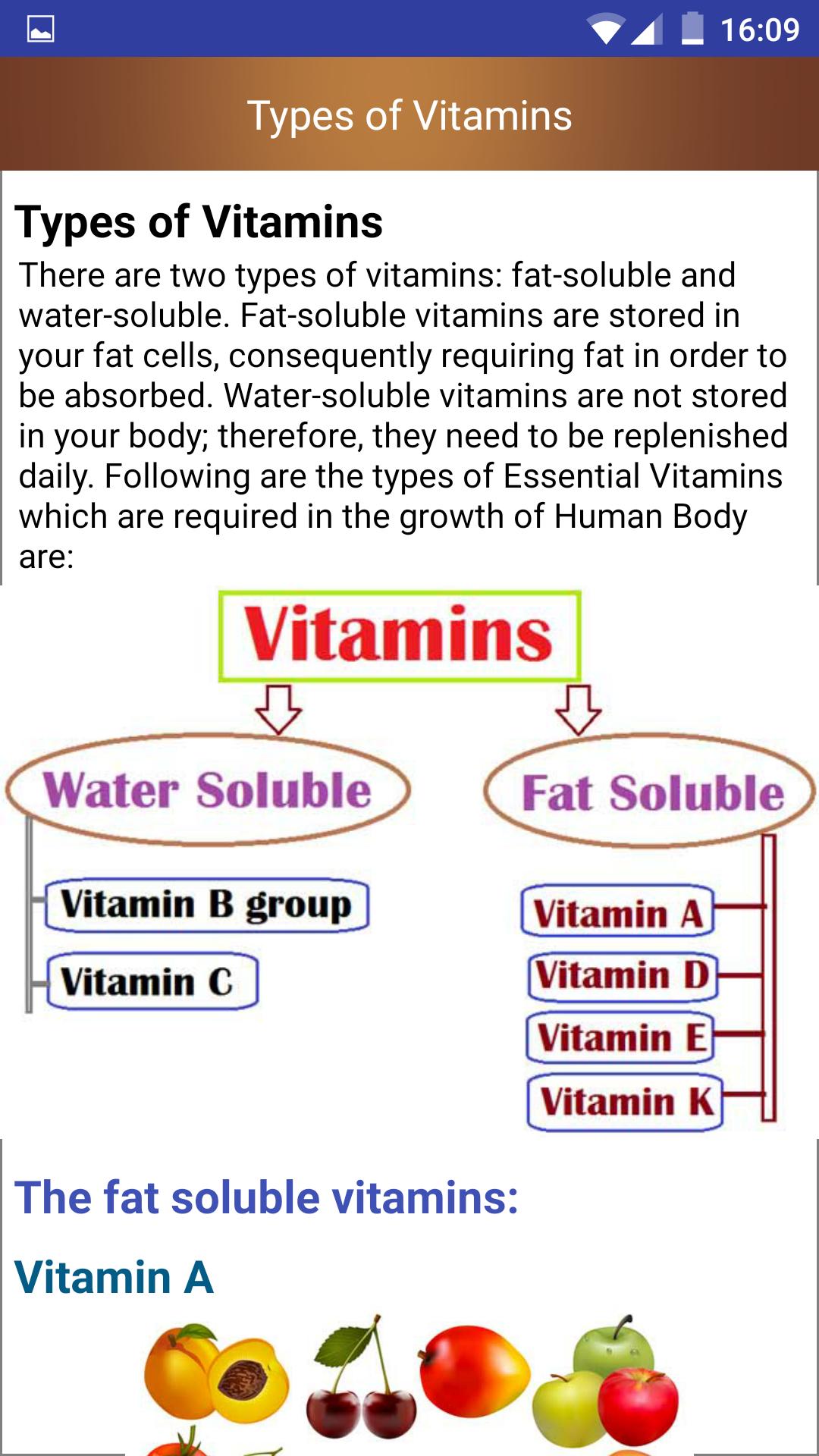 Vitamin rich Food Source guide