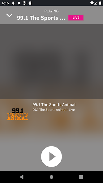 99.1 The Sports Animal