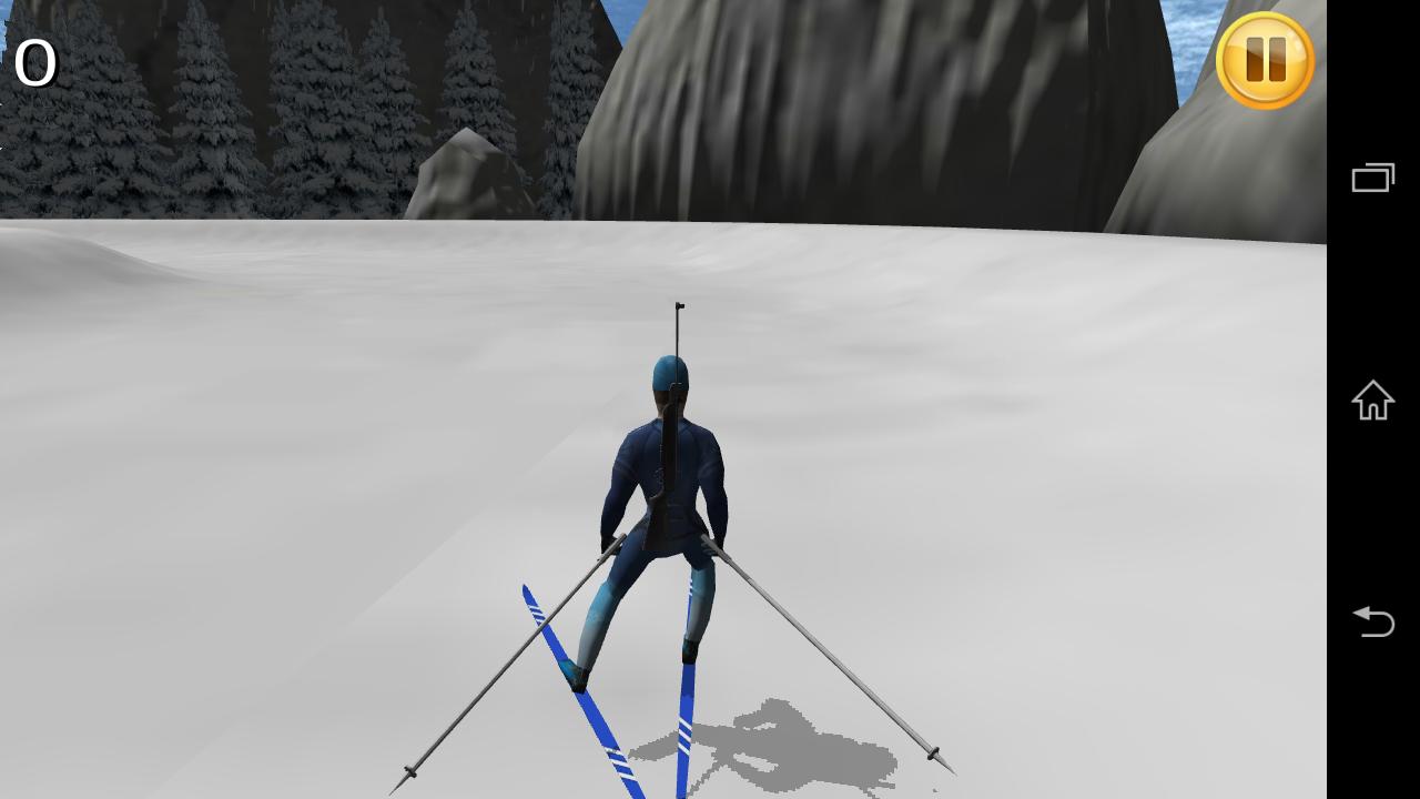 Biathlon Sport Simulator 3D