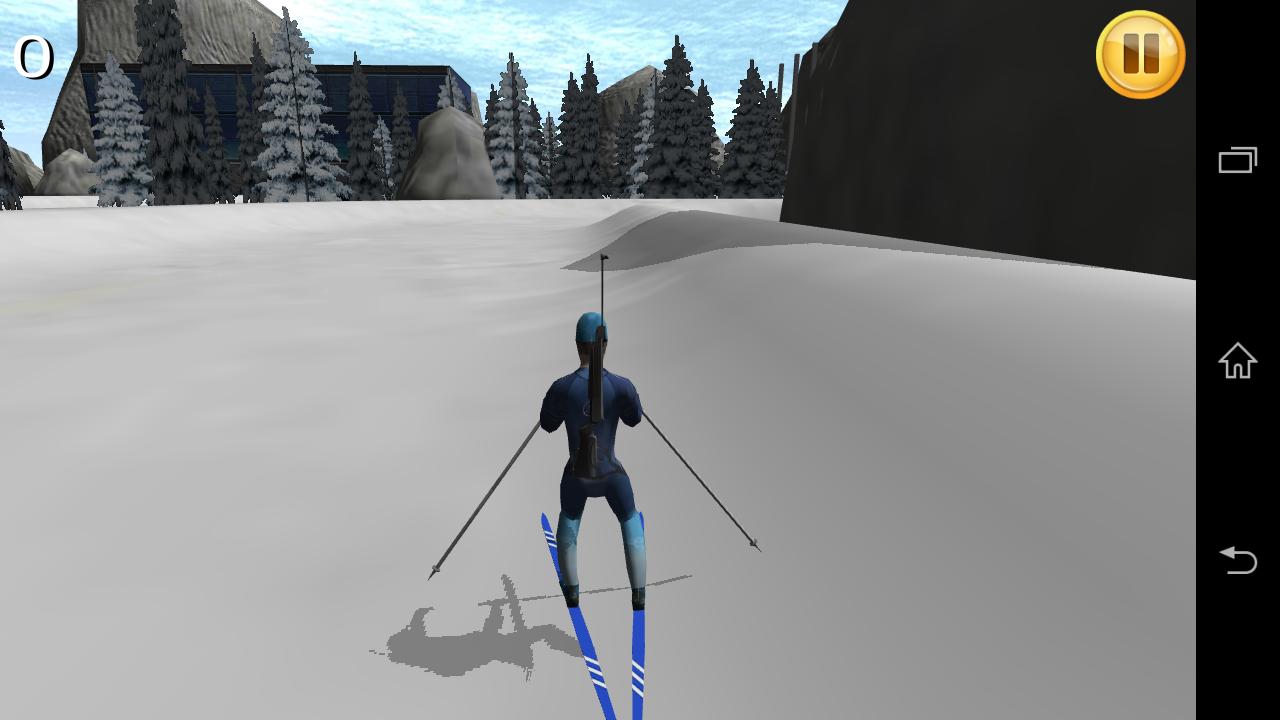 Biathlon Sport Simulator 3D