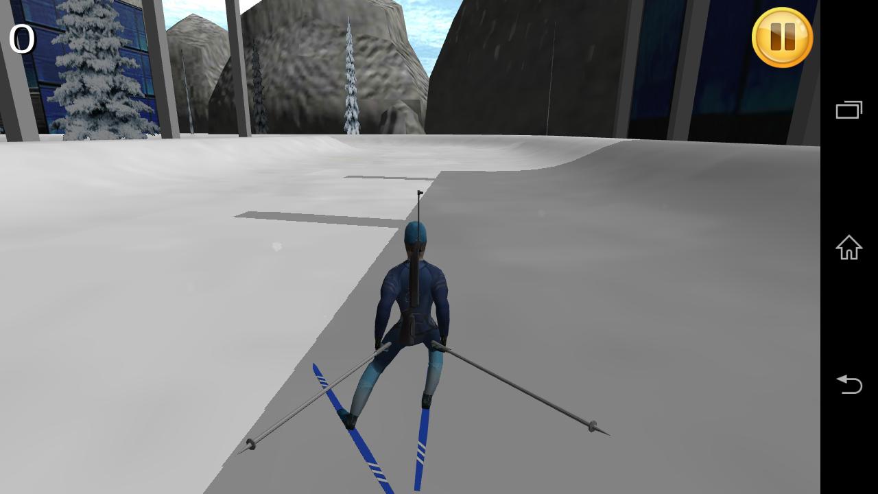 Biathlon Sport Simulator 3D