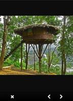 Tree House Design Ideas