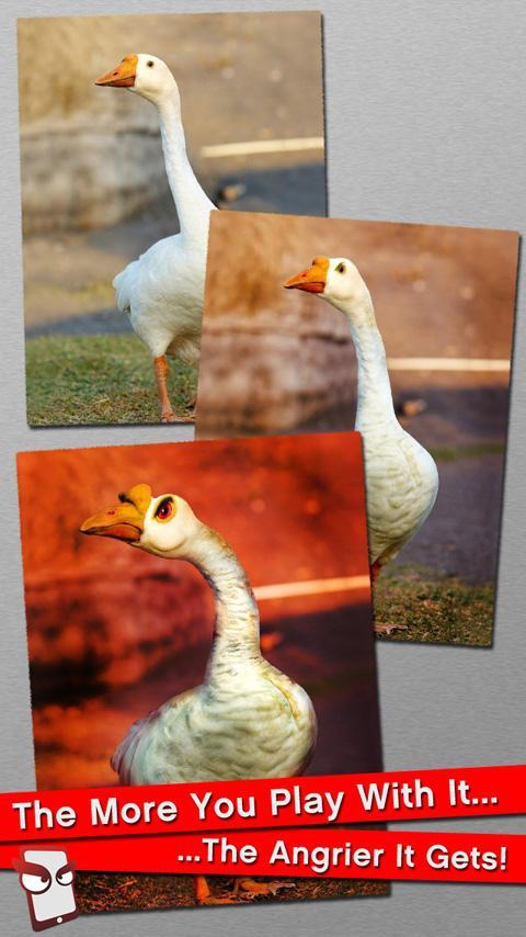 Angry Goose Free!
