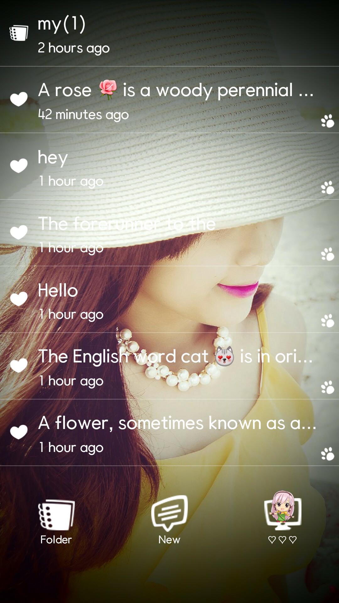 Secret Notes 2 Diary Password