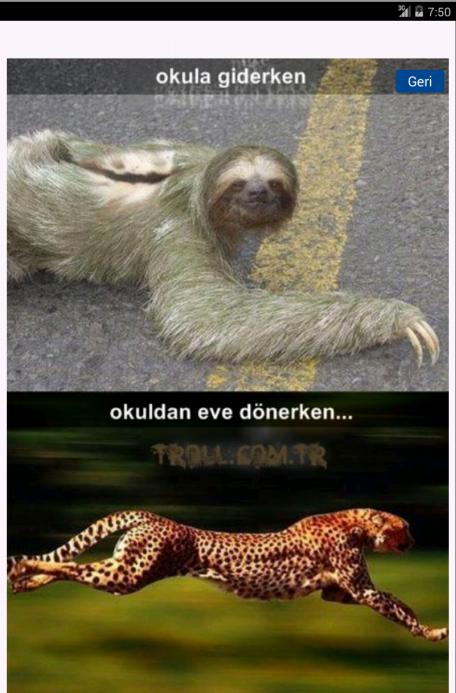Troll Bilimi
