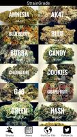 Strain Grade - Top Strains