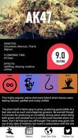 Strain Grade - Top Strains