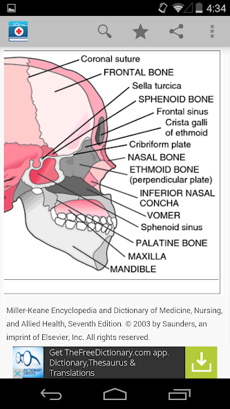 Medical