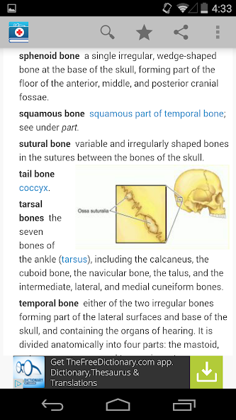 Medical