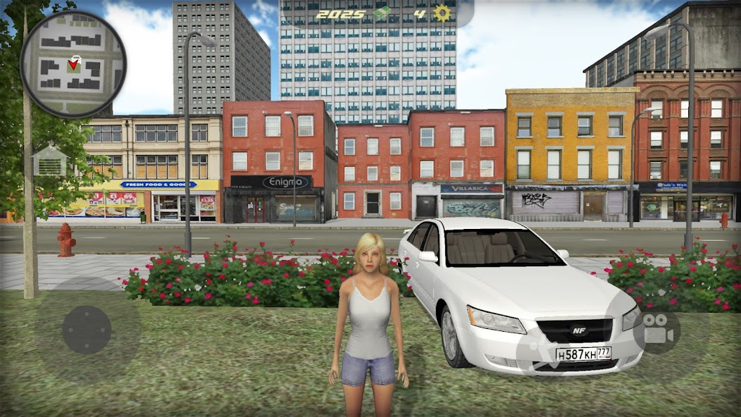 Car Sonata NF Grand Auto Crime